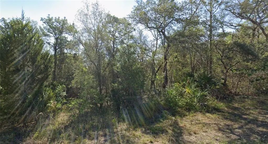 91 N West Avenue, Inverness
