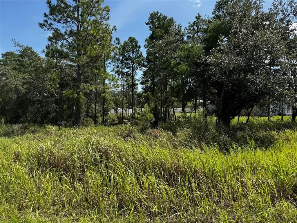 Lot 14 Barnevelde Road, WEEKI WACHEE