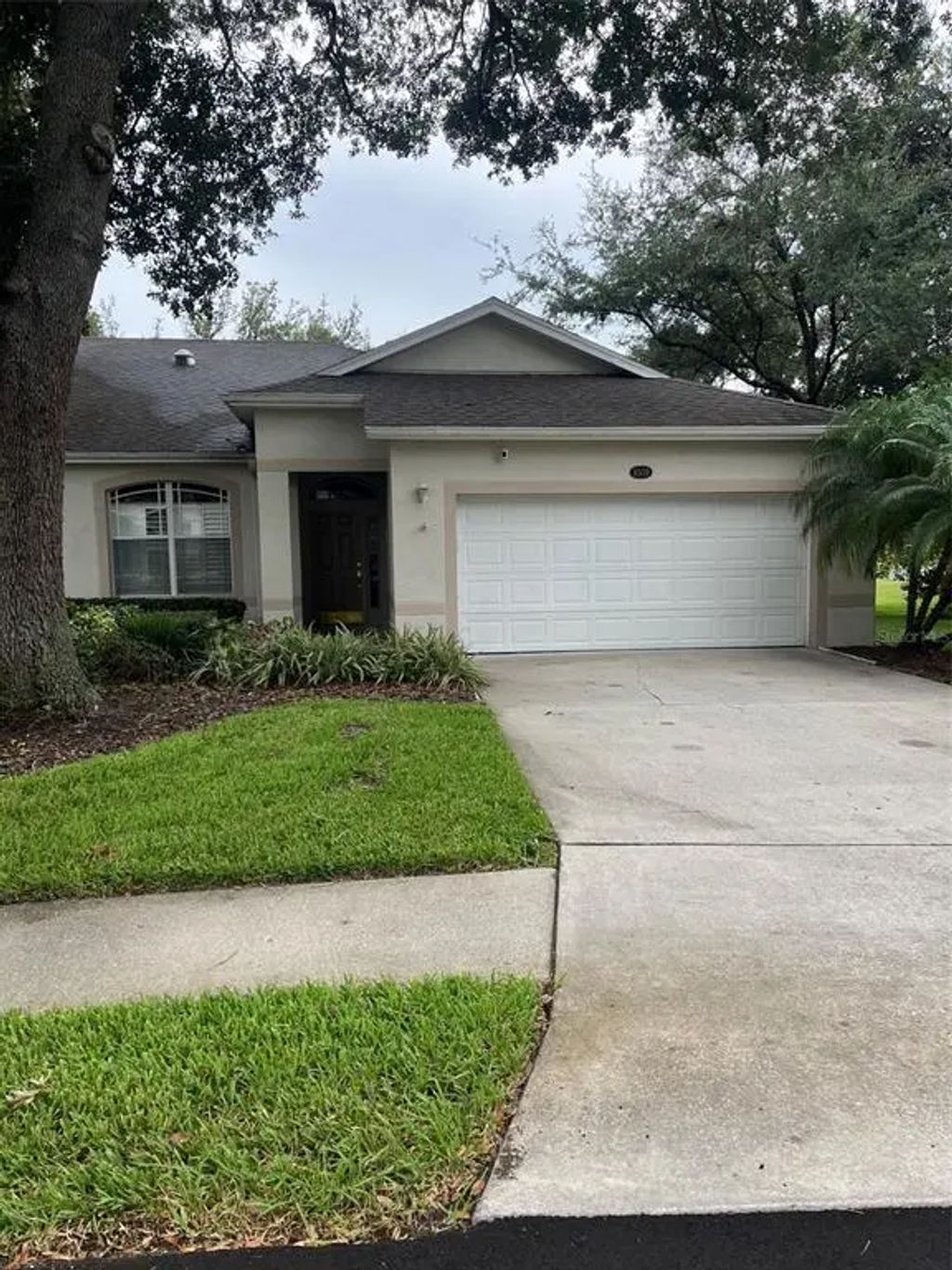 8509 Alexandra Arbor Lane, TAMPA