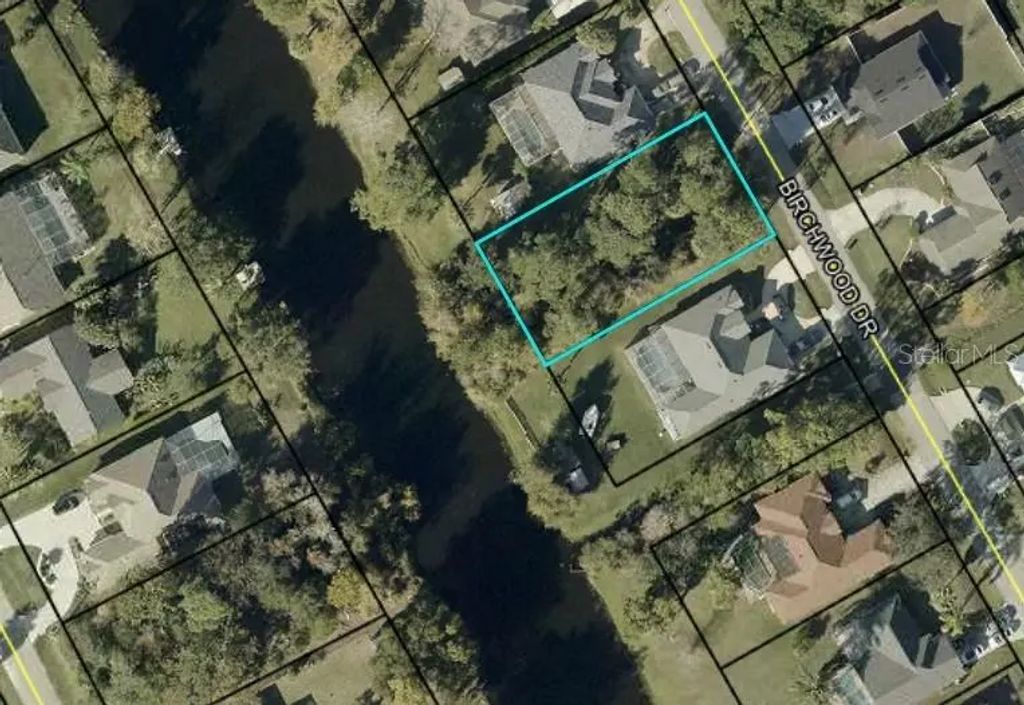 121 Birchwood Drive, PALM COAST