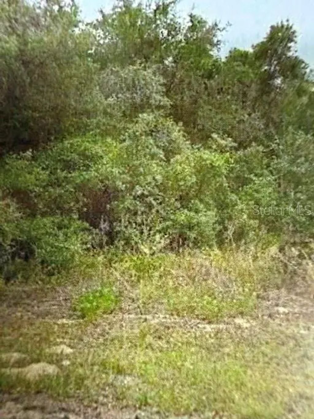 Walton, DUNNELLON
