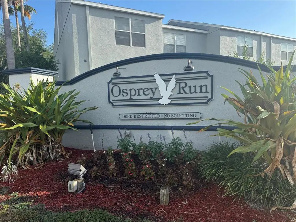 6229 Osprey Lake Circle, RIVERVIEW