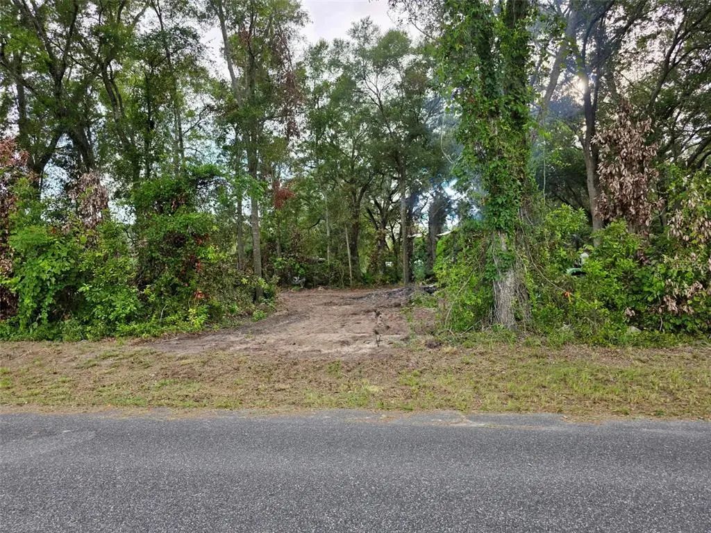 Lot 111 Nw 70th Avenue, TRENTON