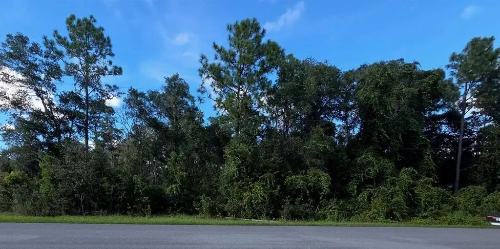 13155 Saddle Way, BROOKSVILLE