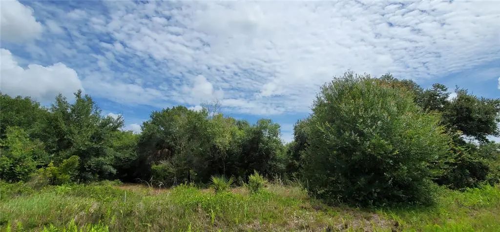 Nw 268th Street Lot N, OKEECHOBEE