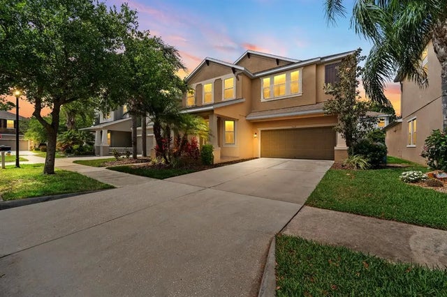 7029 Dowling Mill Circle, TAMPA