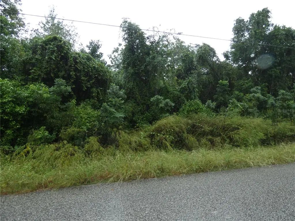 Marley Avenue, NEW PORT RICHEY