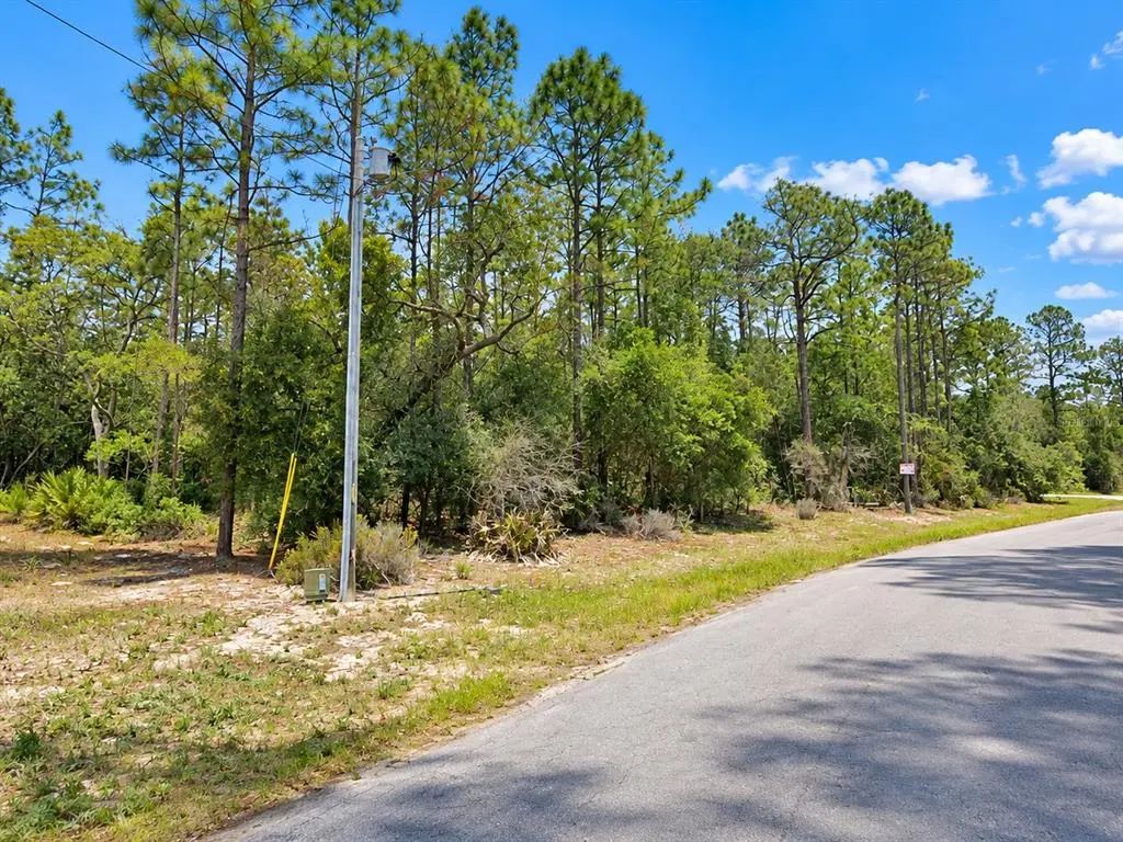 Sw 69th Court Road, OCALA