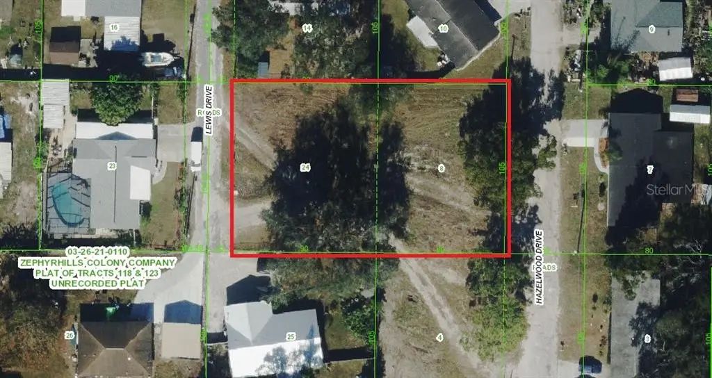 6042 Lewis Drive, ZEPHYRHILLS