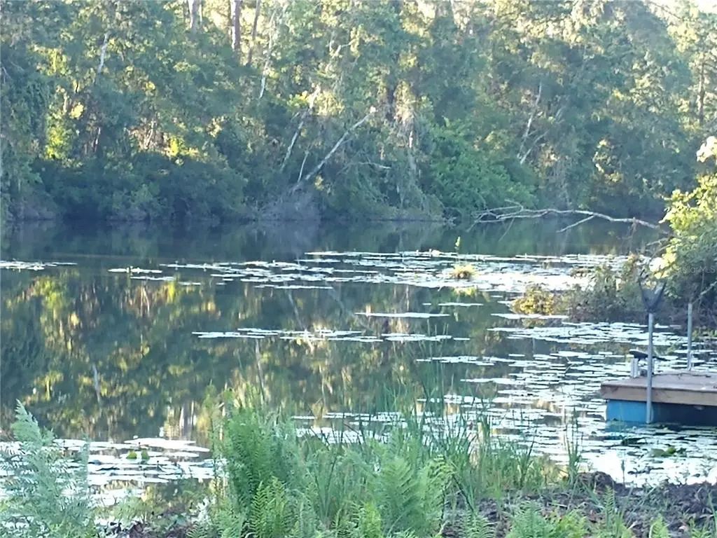 Eagle Boulevard, LAND O LAKES