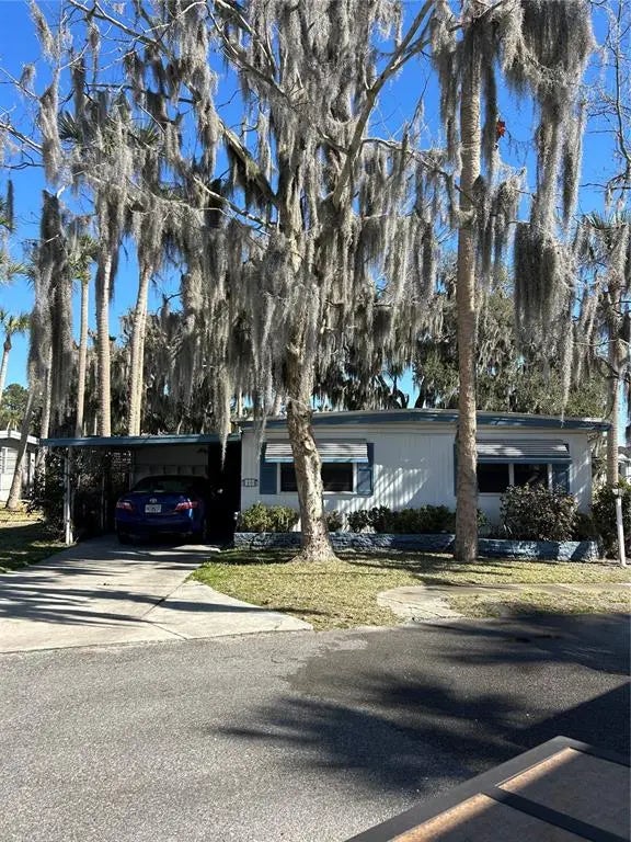 40 Sabal Palm Circle, EUSTIS