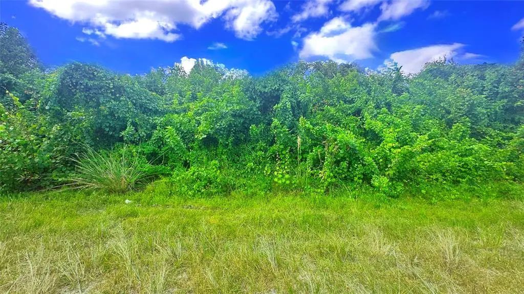 10 Sw 24th Avenue, CAPE CORAL
