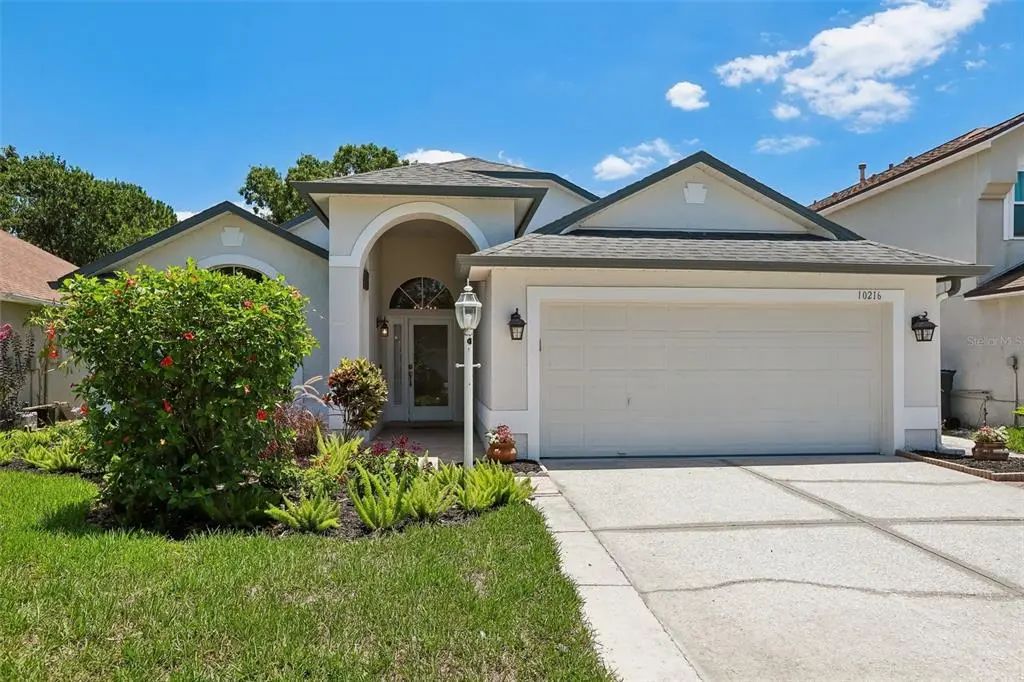 10216 Charleston Corner Road, TAMPA