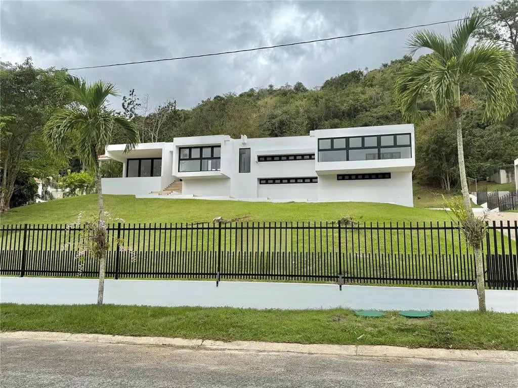 #8 Calle Industrial, CAGUAS