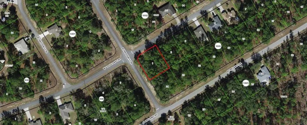 156 W Goldcoast Place, CITRUS SPRINGS