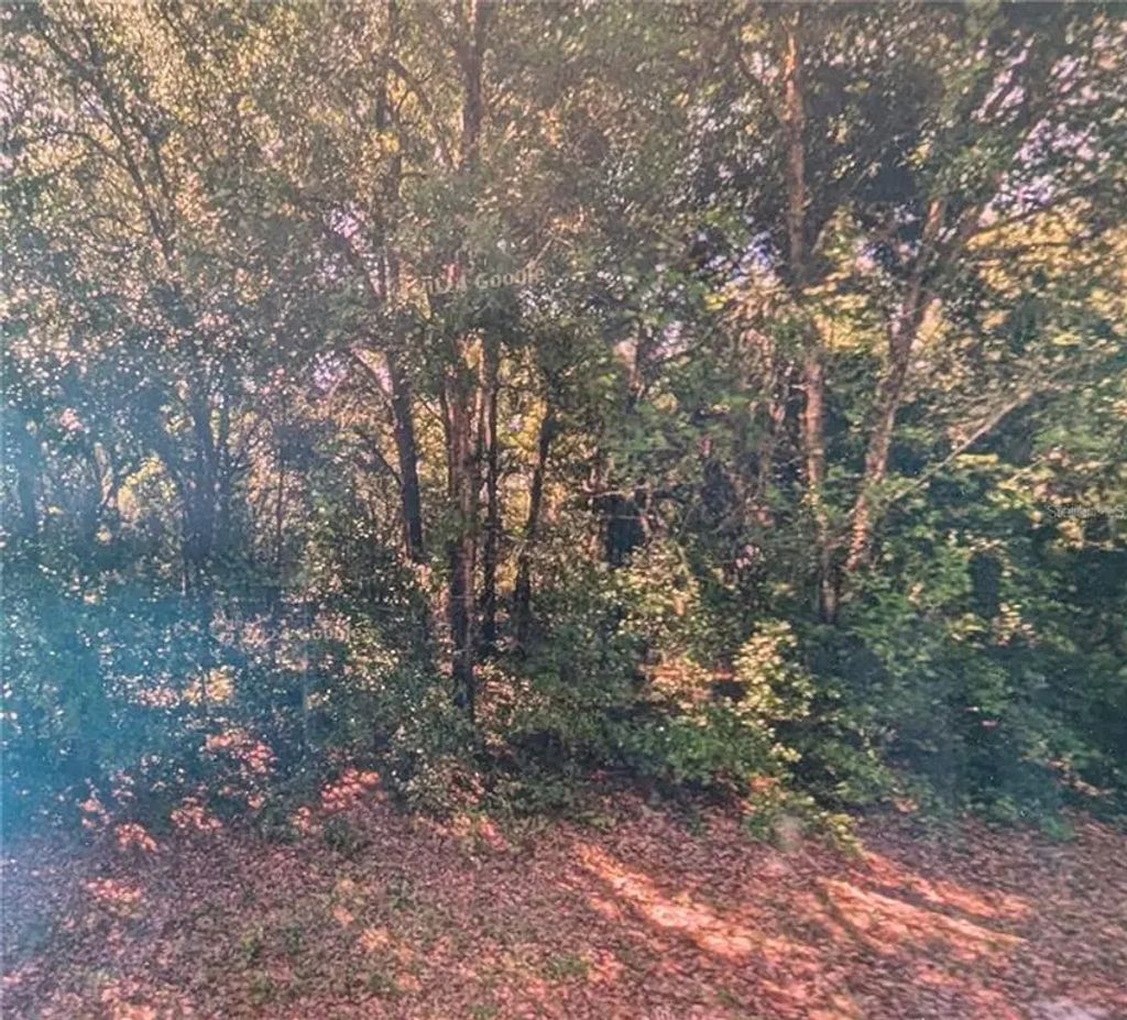 8973 N Bee Way, DUNNELLON