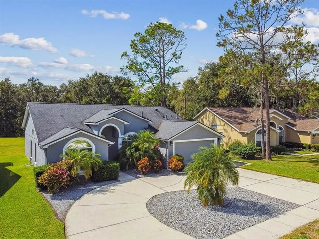 5543 Foxtail Court, WESLEY CHAPEL