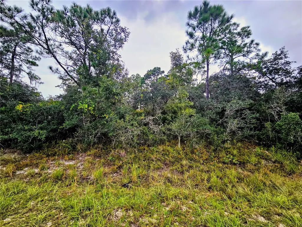 105 Bronson Street Nw, LAKE PLACID