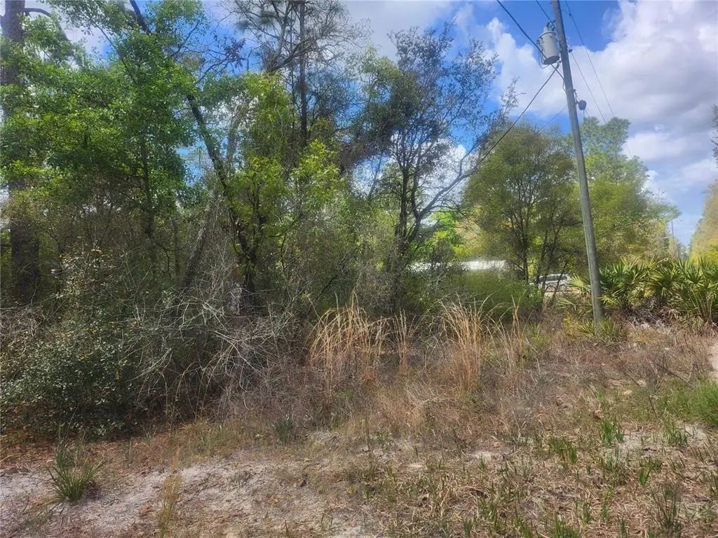 Tbd Ne 236 Lane, ORANGE SPRINGS