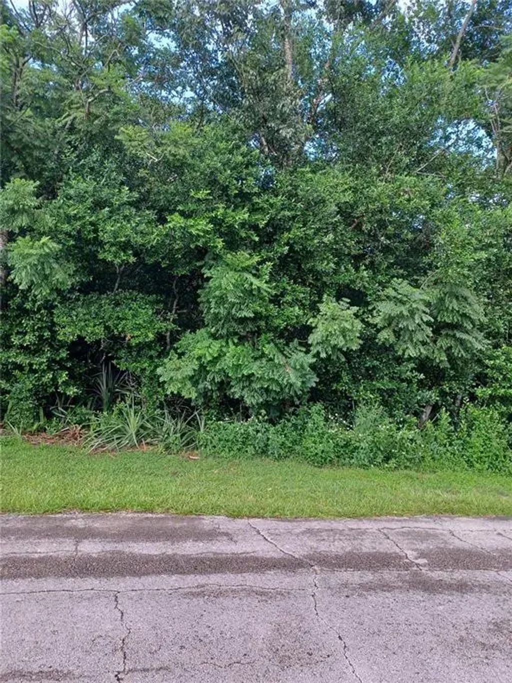 2265 Banbury Avenue, DELTONA