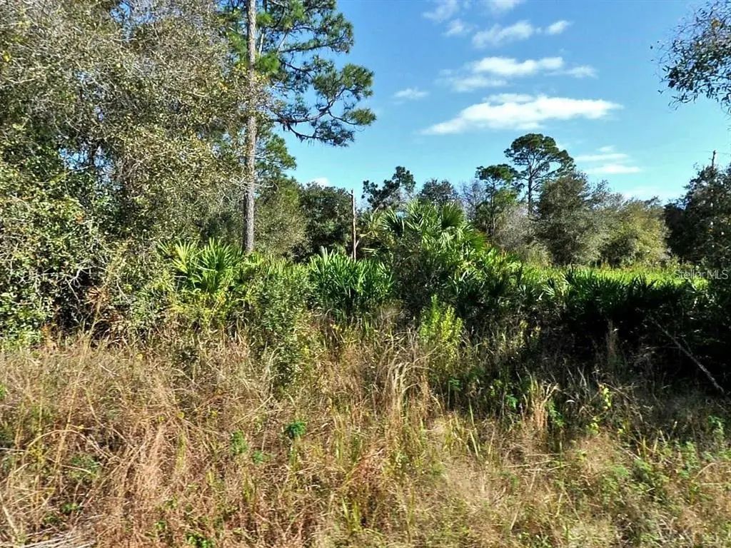 Longfellow Lane, NORTH PORT
