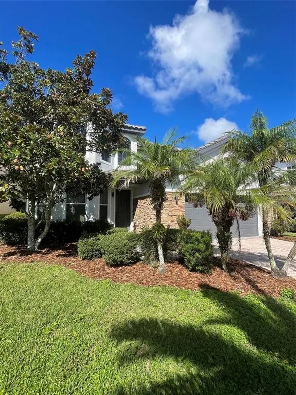 18048 Java Isle Drive, TAMPA