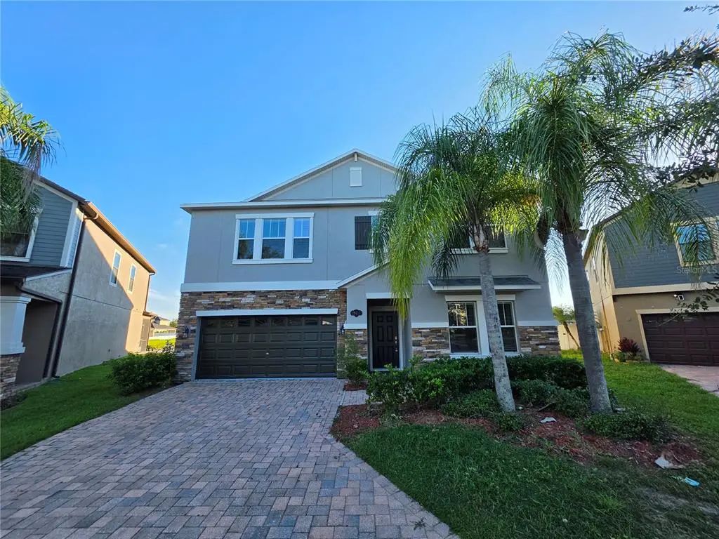 19417 Paddock View Drive, TAMPA