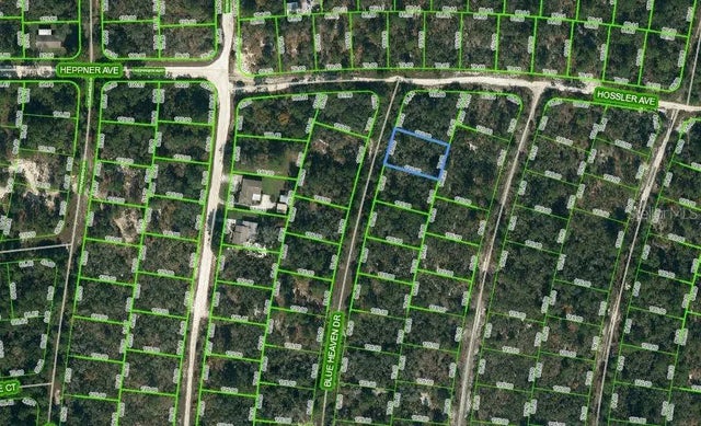 325 Blue Heaven Drive, LAKE PLACID