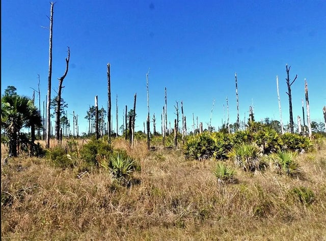 Photo of Listing #N6137856