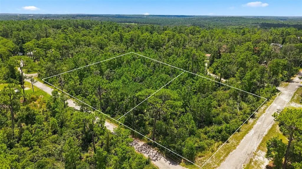 Lanier (lot 2) Avenue, BROOKSVILLE