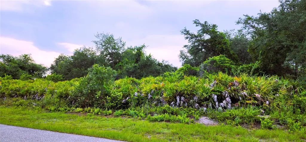 12242 Bacchus Road, PORT CHARLOTTE