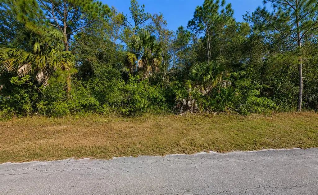 904 Albany Avenue, LEHIGH ACRES