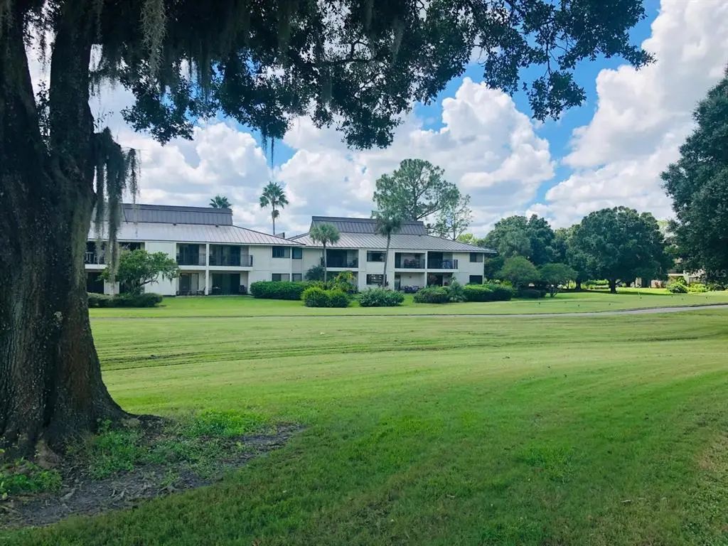 29129 Bay Hollow Drive 3203, WESLEY CHAPEL