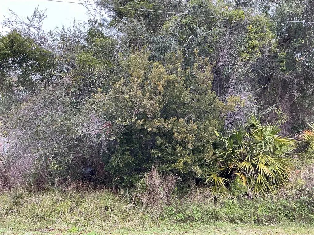 12 Fayy Lane, PALM COAST