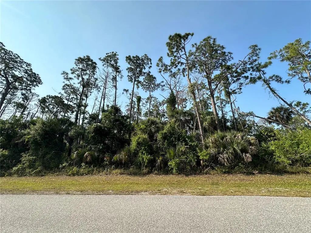 18038 York Avenue, PORT CHARLOTTE