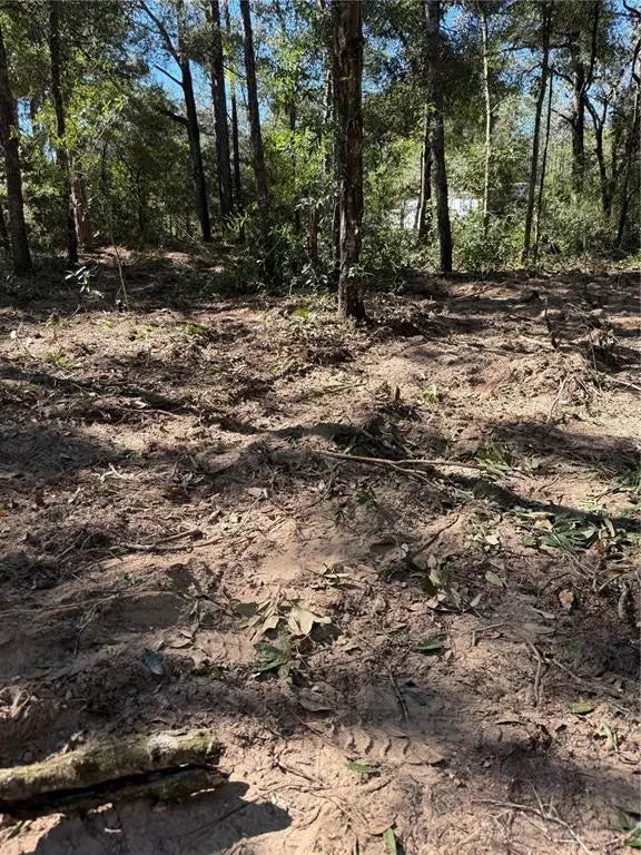 Remington Rd, BROOKSVILLE