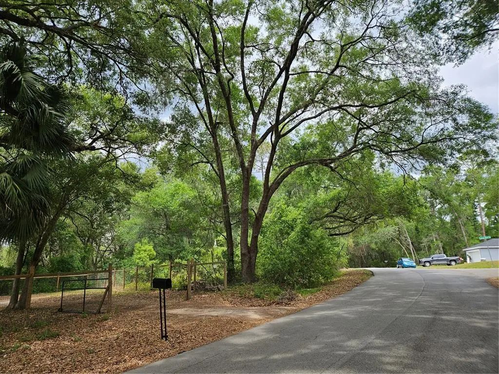 Lot 14 Locust Run Course, OCALA