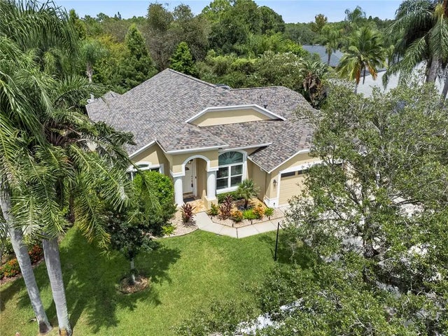 9905 Woodbay Dr Drive, TAMPA