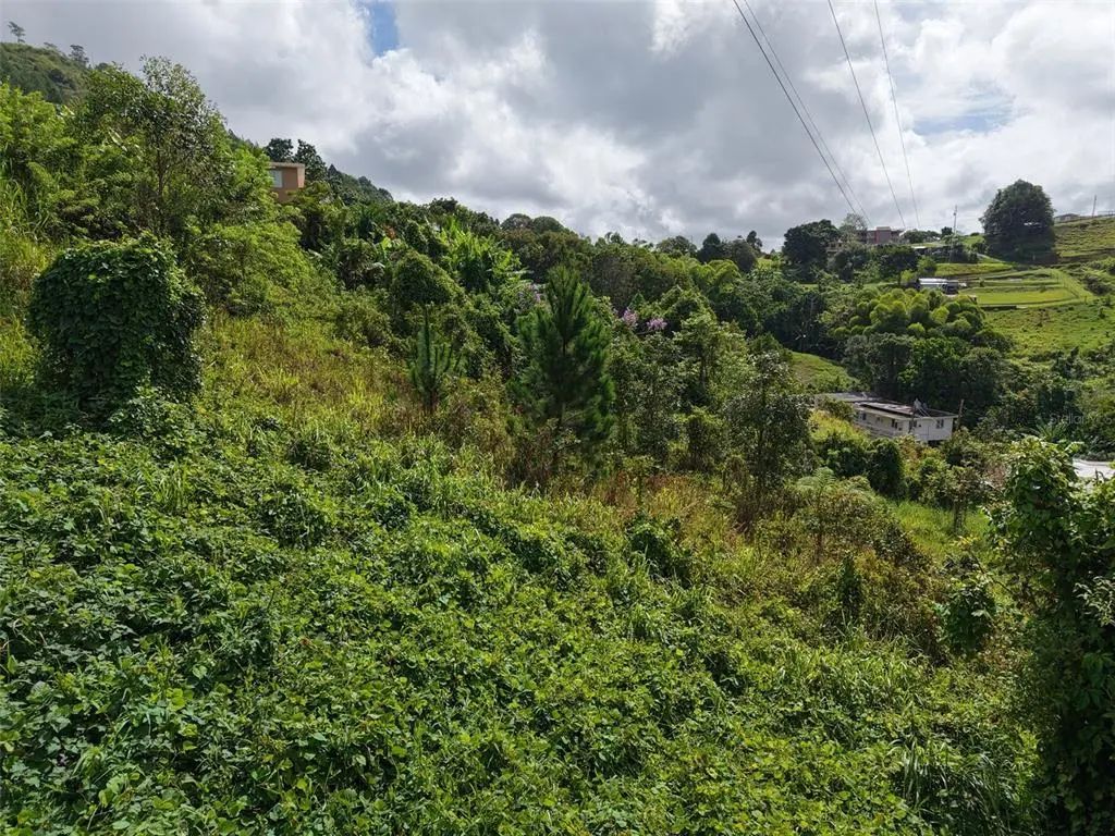 Pr 772 Km 4.9 CaÑabon Ward, BARRANQUITAS