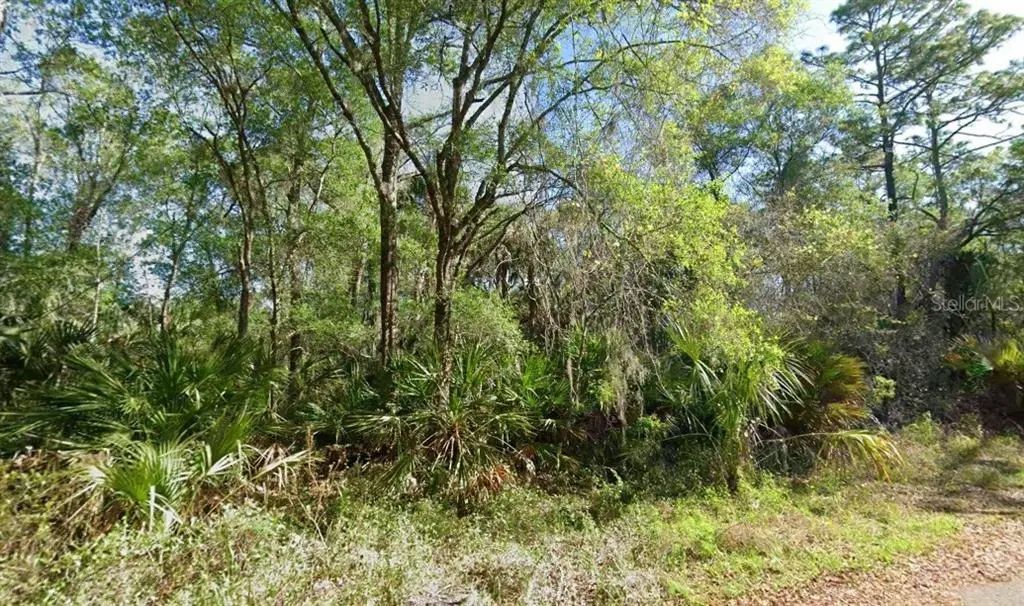 N/A, CRYSTAL RIVER