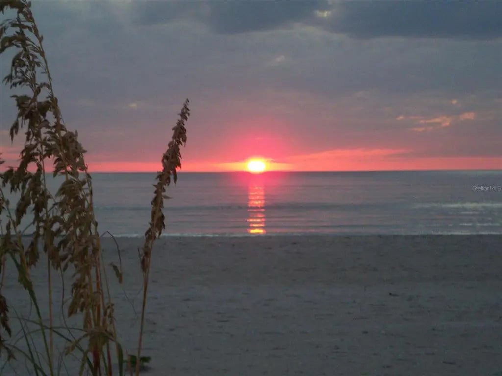 Gulf Shores Realty: 55 2d24551e397e0e28c95deb3b01b7e756 l