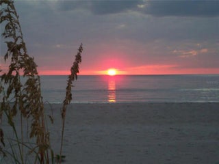 Gulf Shores Realty: 55 2d24551e397e0e28c95deb3b01b7e756 s