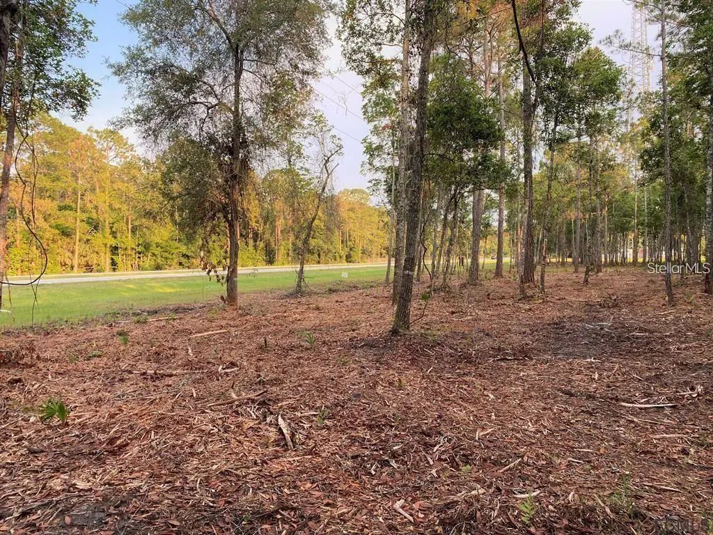 Photo of Listing #FC305280