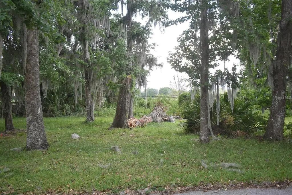 Lot 52 Blk C Lexington- Circle, WILDWOOD