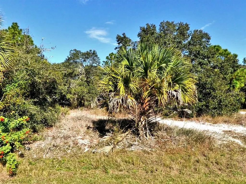Greentree Avenue, NORTH PORT