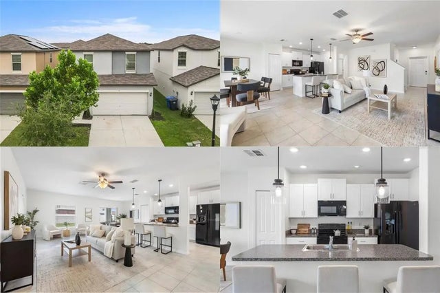 7033 Samuel Ivy Drive, TAMPA