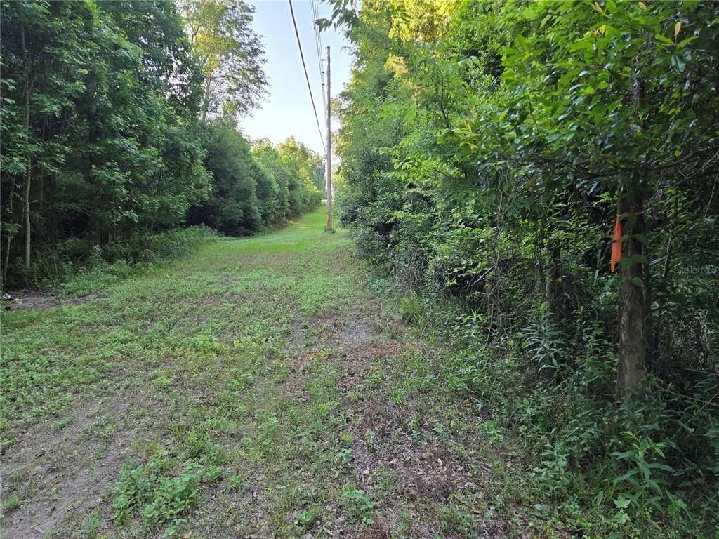 15929 Nw 135th Terrace, ALACHUA