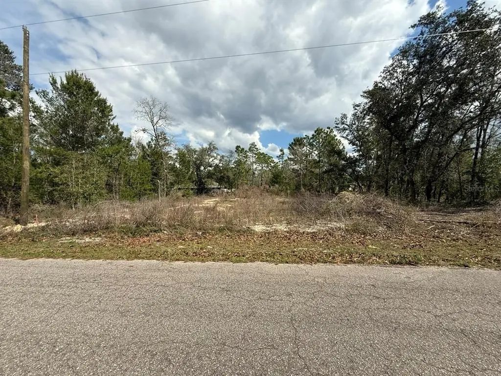 19 Fisher Lane Track, OCKLAWAHA