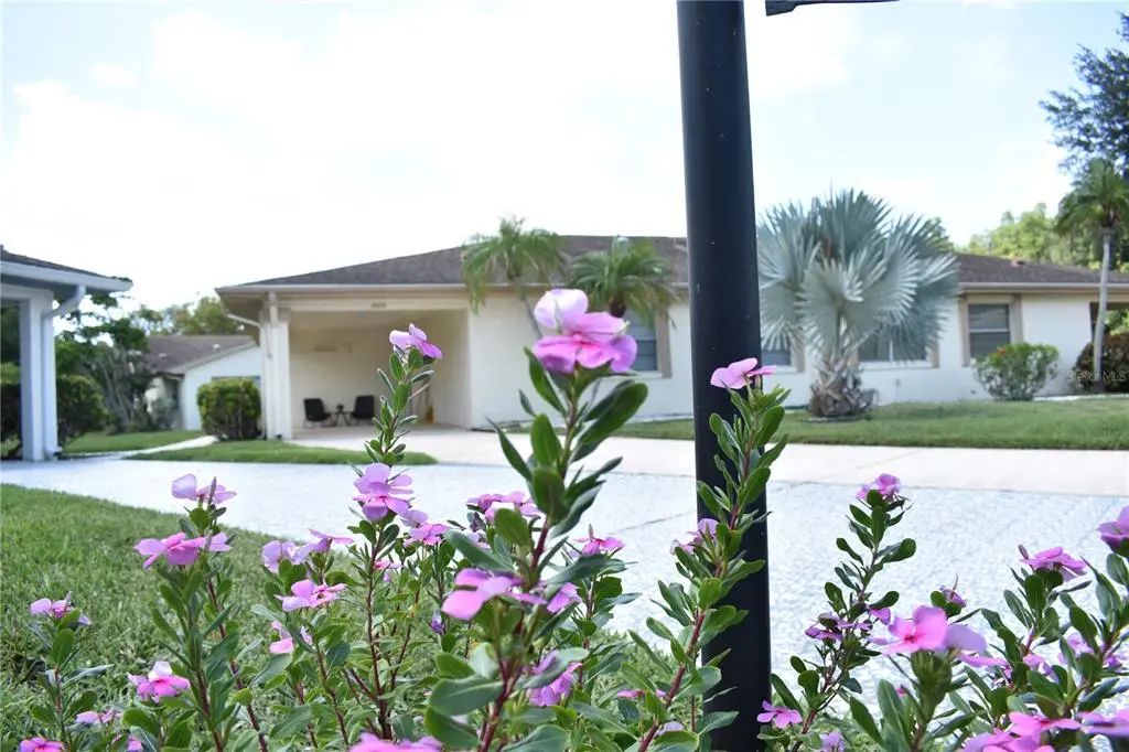 Photo of Listing #TB8531525