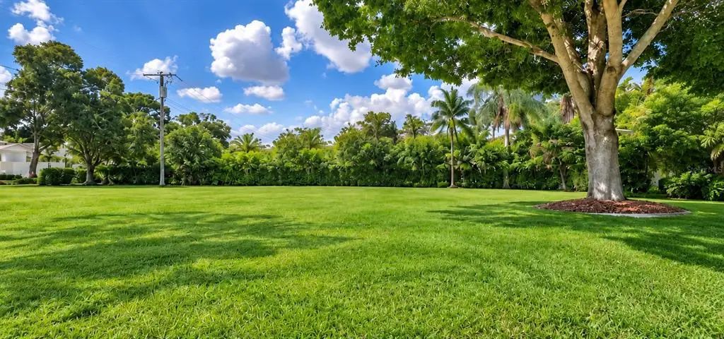 5002 W Juno Street, TAMPA